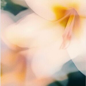 Meet your Posher, Haylee